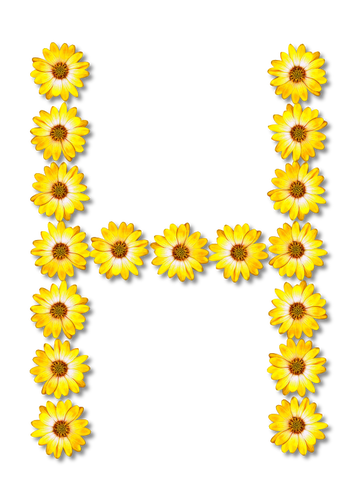 H wykonane z kwiatów