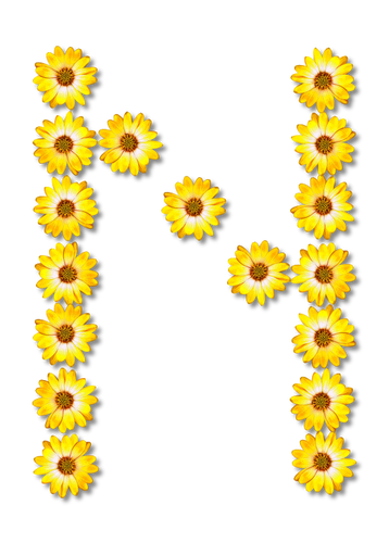 Květinové písmeno N