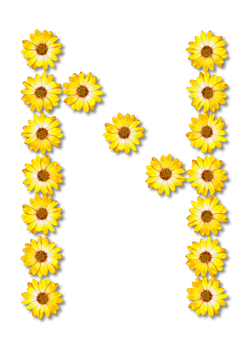 Floral Buchstabe N