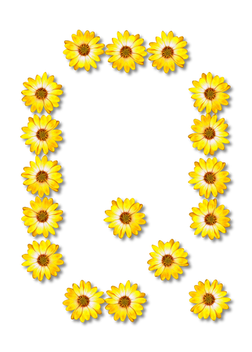 Q fatta di girasoli