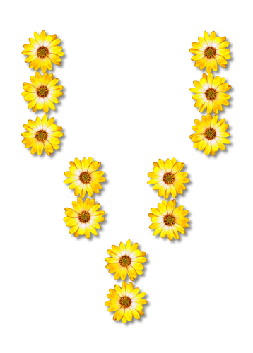 الأزهار حرف V