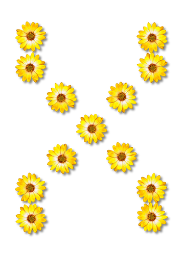 X oluşturan çiçekler
