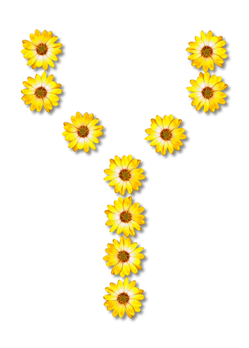 Floral letter Y