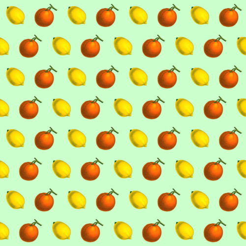 Citrus fruit pattern