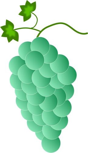 Uvas verdes