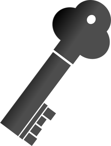 Vector illustration of thick metal door key