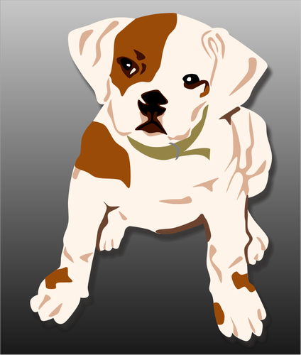 Bulldog valp vector illustrasjon