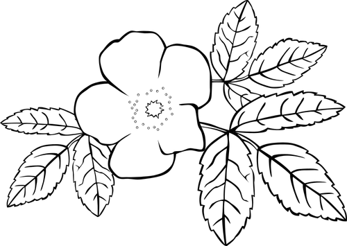 Vector de la imagen del arte de la línea rosa en blanco y negro