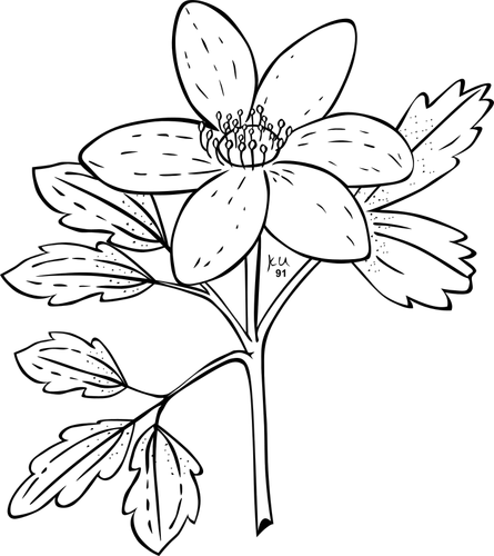 Image de fleur simple
