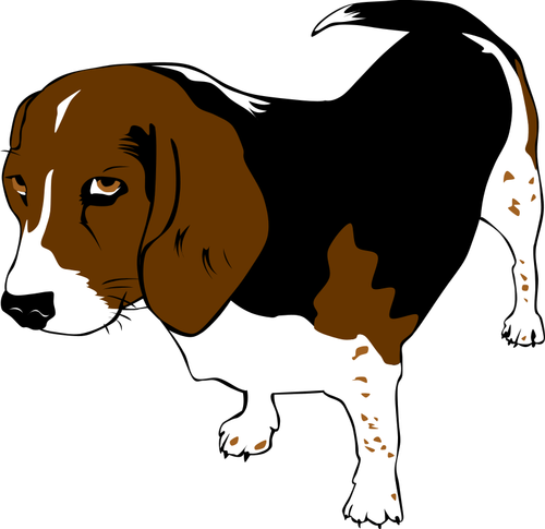 Beagle dog vector clip art