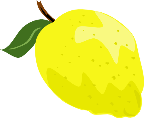 Citron eller lime vektorgrafik med blad