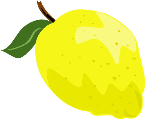 Citron ou lime graphiques vectoriels avec feuille