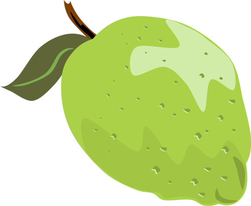 Lime vector illustrasjon med blad