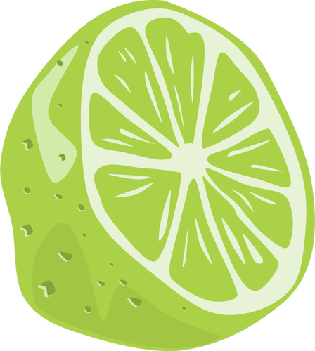 Half a lime fruit vector drawing