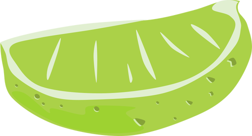 Sliced lime vector drawing