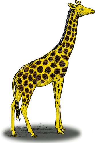 Farget giraffe vektorgrafikk utklipp