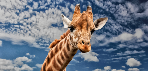 Vektorgrafik von Strichgrafiken fleckig giraffe