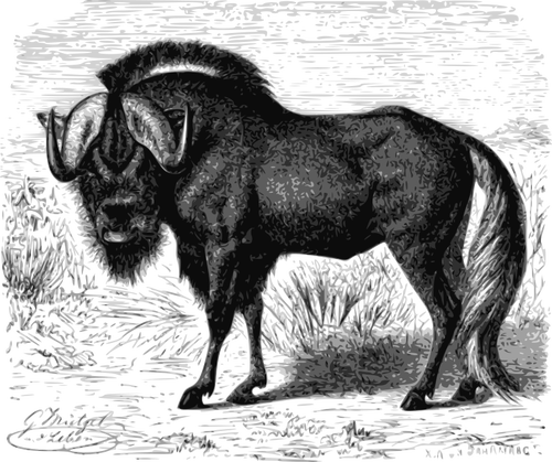 GNU ilustrasi gambar