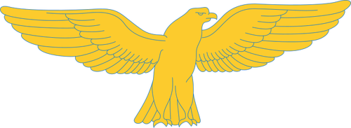 Goshawk הזהב