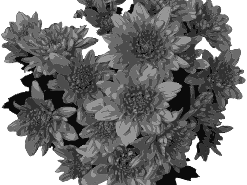 Fleurs en noir et blanc