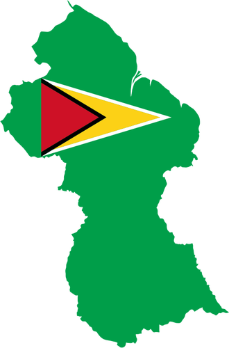 Bandera de Guyana