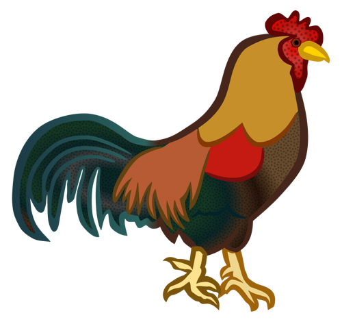 Poulet mâle couleur