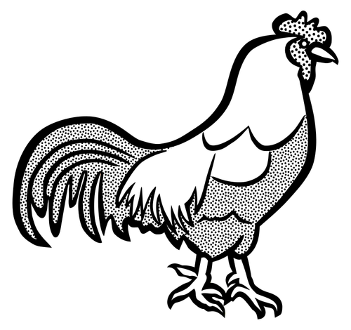 Image noir et blanc d’un poulet