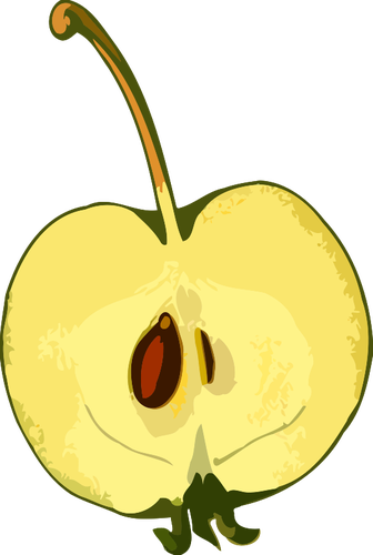 Seed and apple