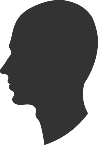 Profil głowy