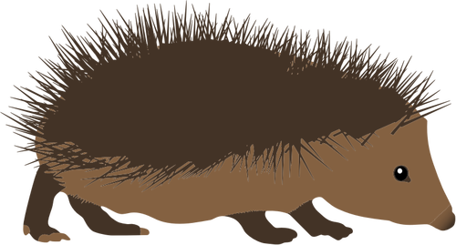 図面・ ザ ・ ヘッジホッグ