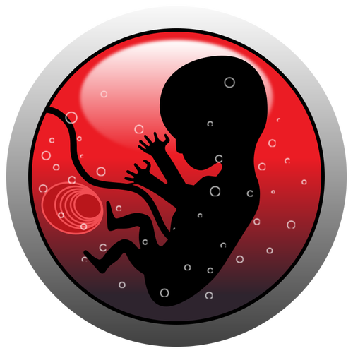 
Human embryo (silhouette)
        