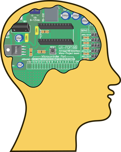 Cerveau de l’ordinateur