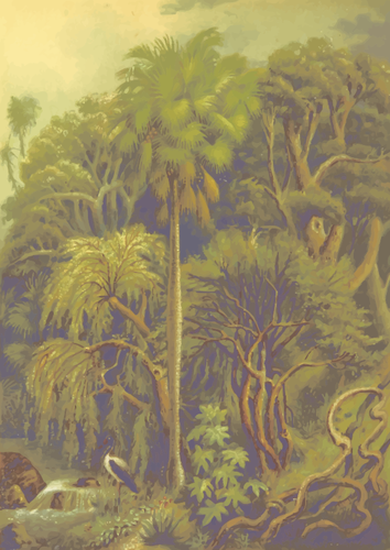 Jungle vegetation