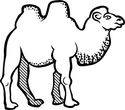 Tegning av kamel med flekkete halsen linje kunst