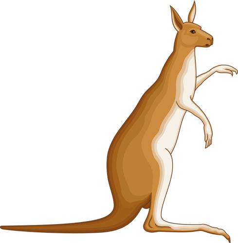 Kanguru gambar
