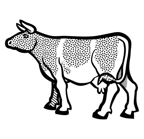 Imagem de vaca de livro para colorir