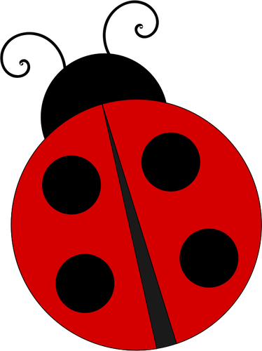Ladybug vektor image
