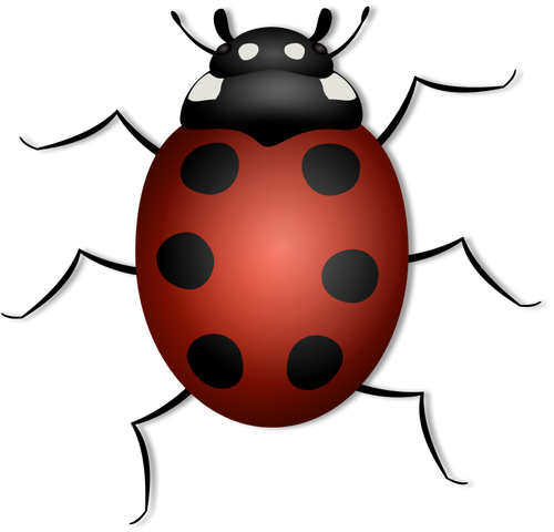 Ilustración de vector Ladybug