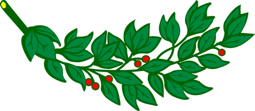 Laurel gren med röda bär vector image