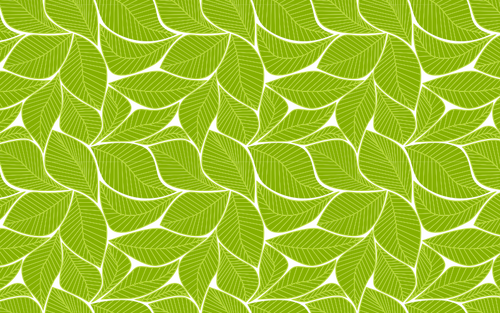 Bladeren patroon