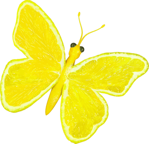 Mariposa de cítricos