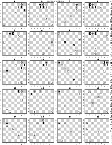 Sjakk diagrammer