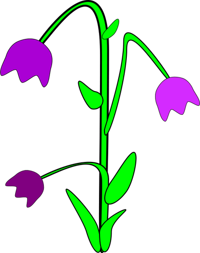 Grafika wektorowa Bellflower