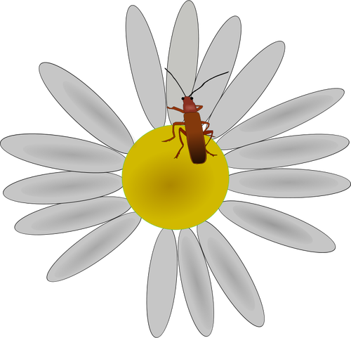 Bug op een vector bloem