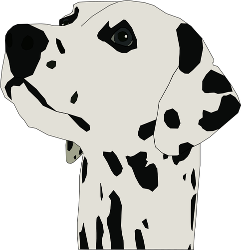 Image de vecteur pour le portrait chien Dalmatien