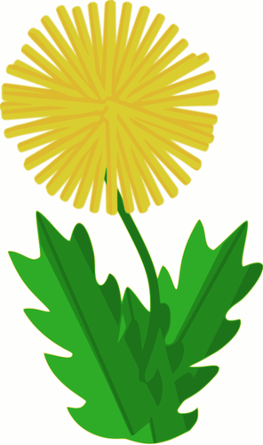 Vector de la imagen del diente de león flor