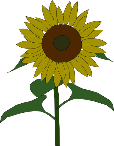 Sonnenblume Vektorgrafiken
