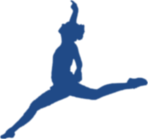 Baton twirler silhouette vector image