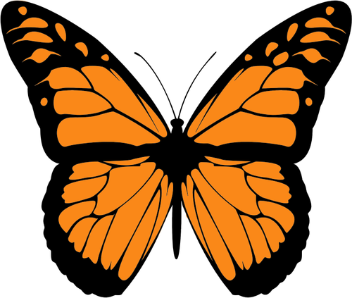 صورة متجهة من فراشة برتقالية مع أجنحة واسعة الانتشار
