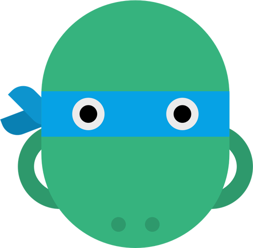 Ninja želva hlavou
